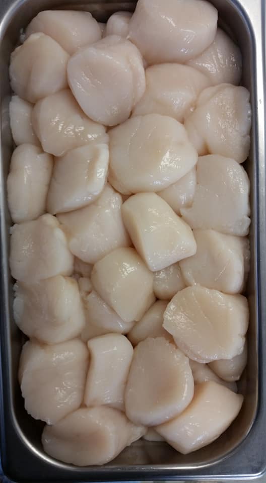 Scallops